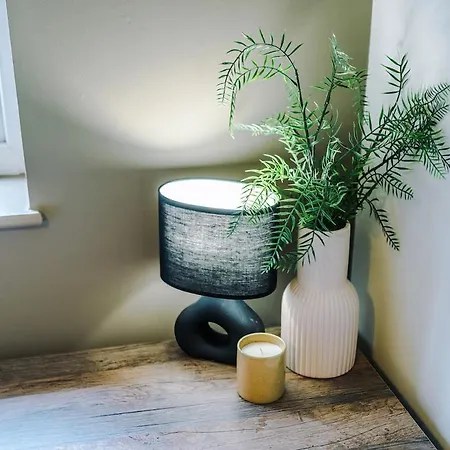 Vakantiehuis Homebird - Tavistock